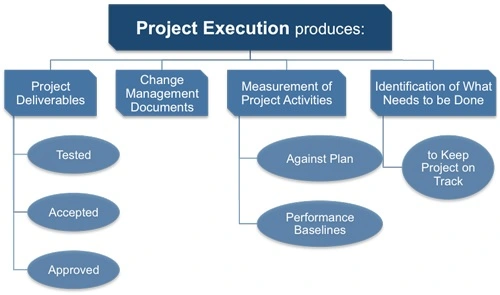 Project Execution Produces